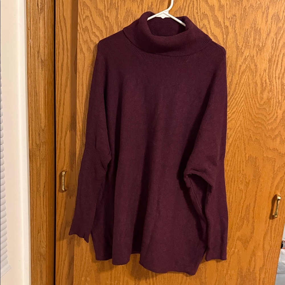 Adyson Parker Deep Burgundy Turtleneck Sweater